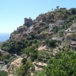 Savoca